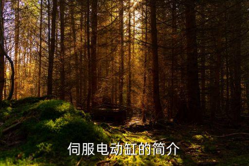 東莞電機(jī)自動(dòng)化設(shè)備價(jià)格,汽車(chē)電機(jī)自動(dòng)化生產(chǎn)怎么選設(shè)備?