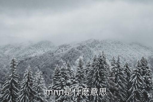 mnn是什麼意思