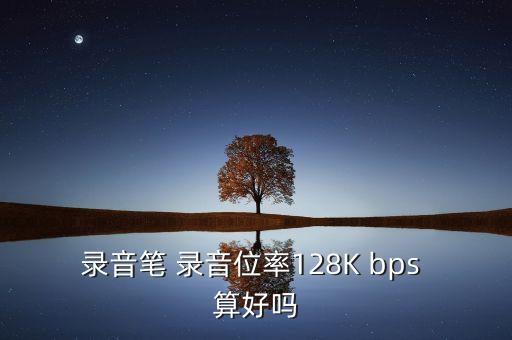 錄音筆 錄音位率128K bps 算好嗎