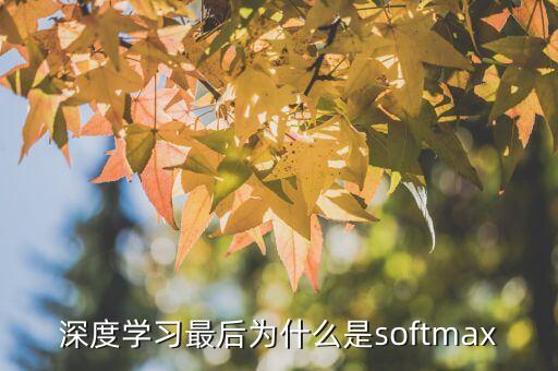 深度學(xué)習(xí)最后為什么是softmax