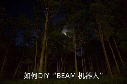 如何DIY“BEAM 機器人”