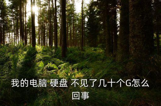 我的電腦 硬盤 不見了幾十個(gè)G怎么回事