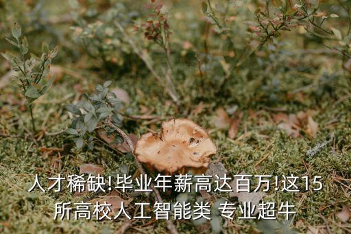 人才稀缺!畢業(yè)年薪高達(dá)百萬(wàn)!這15所高校人工智能類 專業(yè)超牛