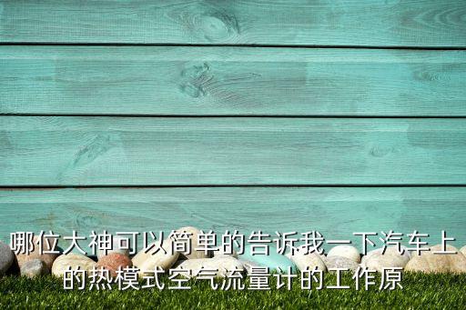熱式流量計(jì)，熱質(zhì)式流量計(jì)一般用在哪兒