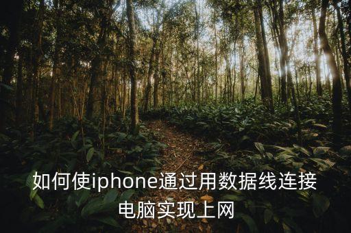 如何使iphone通過用數(shù)據(jù)線連接電腦實(shí)現(xiàn)上網(wǎng)