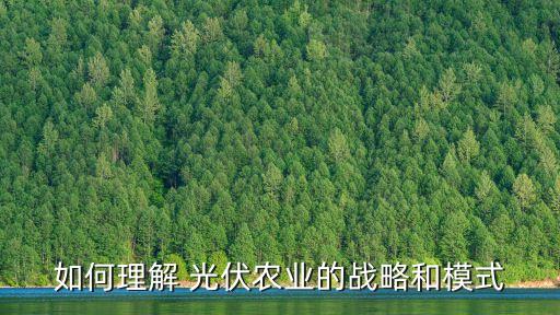如何理解 光伏農(nóng)業(yè)的戰(zhàn)略和模式