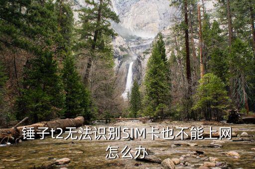 錘子移動(dòng)數(shù)據(jù)連不上,手機(jī)連不上移動(dòng)數(shù)據(jù)網(wǎng)怎么回事?