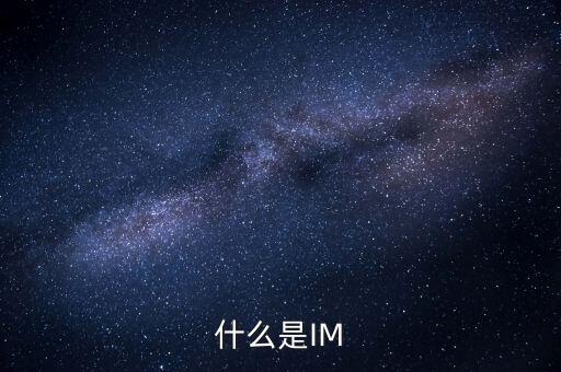 什么是IM