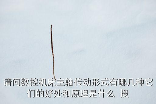 請問數(shù)控機床主軸傳動形式有哪幾種它們的好處和原理是什么  搜