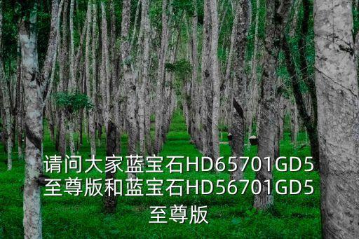 請(qǐng)問大家藍(lán)寶石HD65701GD5至尊版和藍(lán)寶石HD56701GD5至尊版