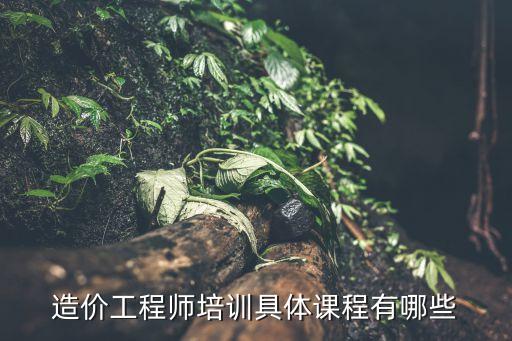造價(jià)工程師培訓(xùn)具體課程有哪些