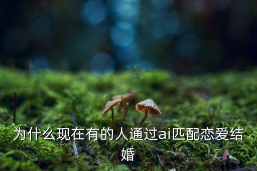為什么現(xiàn)在有的人通過ai匹配戀愛結(jié)婚