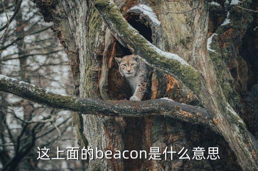 beacon，什么是Beacon廣播