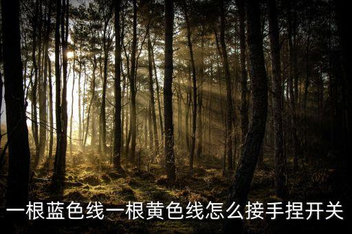 一根藍色線一根黃色線怎么接手捏開關