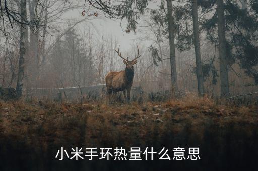 小米手環(huán)熱量什么意思