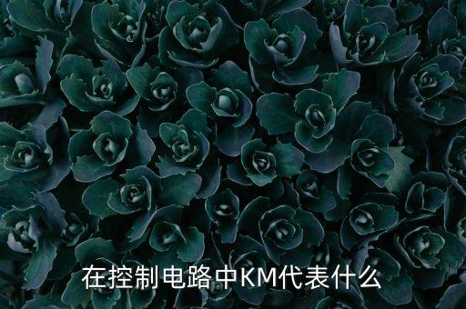 km是什么繼電器，KM和FR在電學(xué)電路圖中代表什么