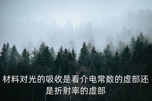 光吸收，物體為什么能吸收光
