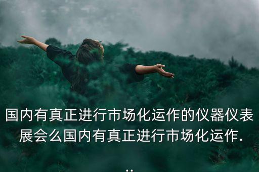 國內有真正進行市場化運作的儀器儀表 展會么國內有真正進行市場化運作...