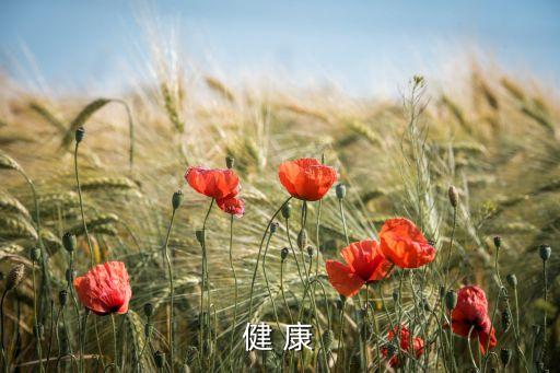 健 康