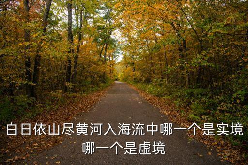 白日依山盡黃河入海流中哪一個(gè)是實(shí)境哪一個(gè)是虛境