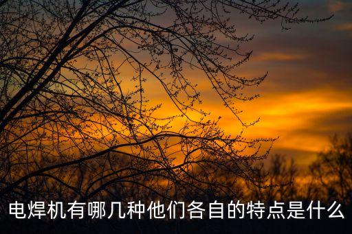 焊機的種類，電焊機有那幾種型號