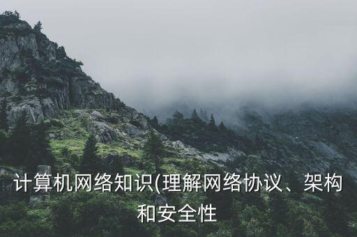 計(jì)算機(jī)網(wǎng)絡(luò)知識(shí)(理解網(wǎng)絡(luò)協(xié)議、架構(gòu)和安全性