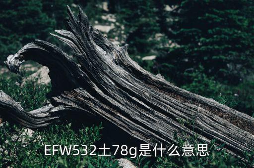 EFW532土78g是什么意思