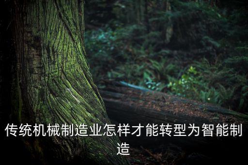 傳統(tǒng)機(jī)械制造業(yè)怎樣才能轉(zhuǎn)型為智能制造