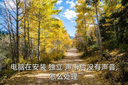 獨立聲卡,電腦獨立聲卡