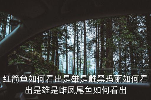 紅箭魚如何看出是雄是雌黑瑪麗如何看出是雄是雌鳳尾魚如何看出