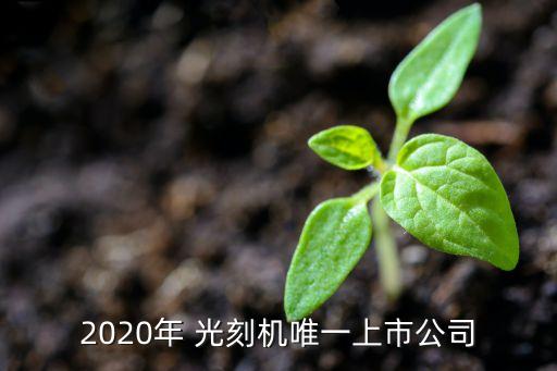 2020年 光刻機唯一上市公司
