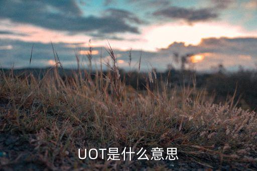 uot，請問UOT是什么意思呀