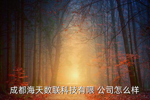 成都海天數(shù)聯(lián)科技有限 公司怎么樣