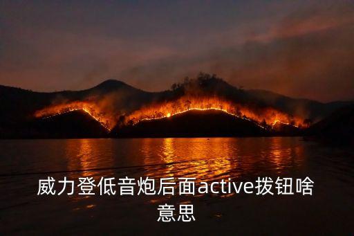 威力登低音炮后面active撥鈕啥意思
