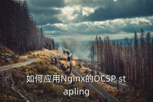 ocsp，開啟全站強制 https 后有必要配置 OCSP Stapling 嗎