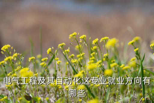 電氣工程及其自動化專業(yè)，電氣工程及其自動化普通高等學(xué)校專業(yè)