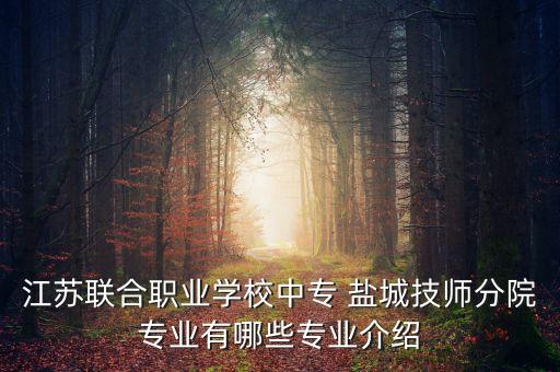 江蘇聯(lián)合職業(yè)學(xué)校中專(zhuān) 鹽城技師分院專(zhuān)業(yè)有哪些專(zhuān)業(yè)介紹