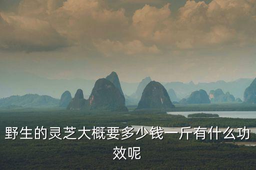 野生的靈芝大概要多少錢一斤有什么功效呢