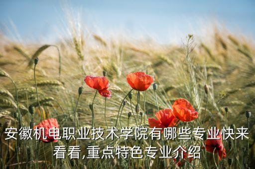 安徽機電職業(yè)技術(shù)學(xué)院有哪些專業(yè)快來看看,重點特色專業(yè)介紹