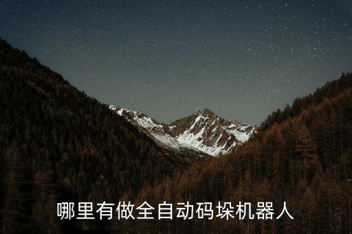哪里有做全自動碼垛機器人