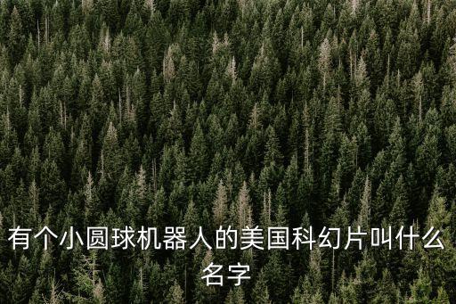 有個(gè)小圓球機(jī)器人的美國科幻片叫什么名字