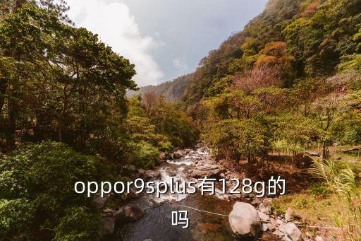 r9splus，OPPOR9splus有哪些顏色
