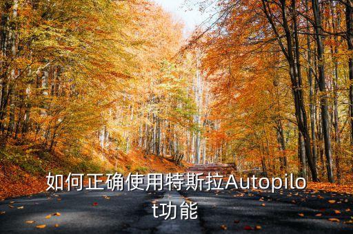 特斯拉儀表盤，特斯拉充電時(shí)指示燈如何顯示器
