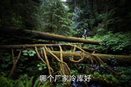 艾默生自動(dòng)化設(shè)備