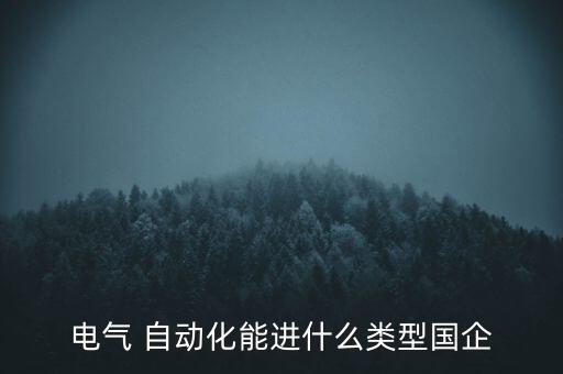 電氣 自動(dòng)化能進(jìn)什么類(lèi)型國(guó)企