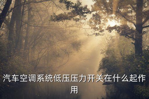 汽車空調(diào)系統(tǒng)低壓壓力開關(guān)在什么起作用