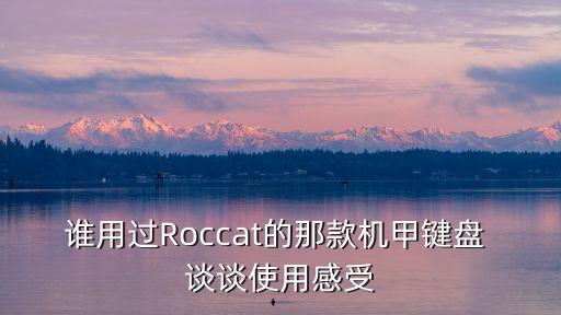 誰用過Roccat的那款機甲鍵盤 談談使用感受