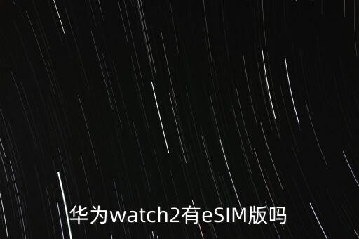 華為watch2有eSIM版嗎
