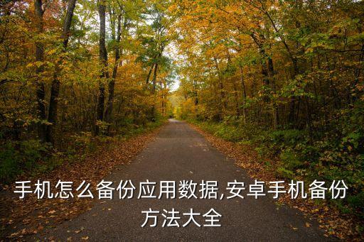 手機(jī)怎么備份應(yīng)用數(shù)據(jù),安卓手機(jī)備份方法大全