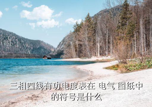 三相四線有功電度表在 電氣 圖紙中的符號(hào)是什么